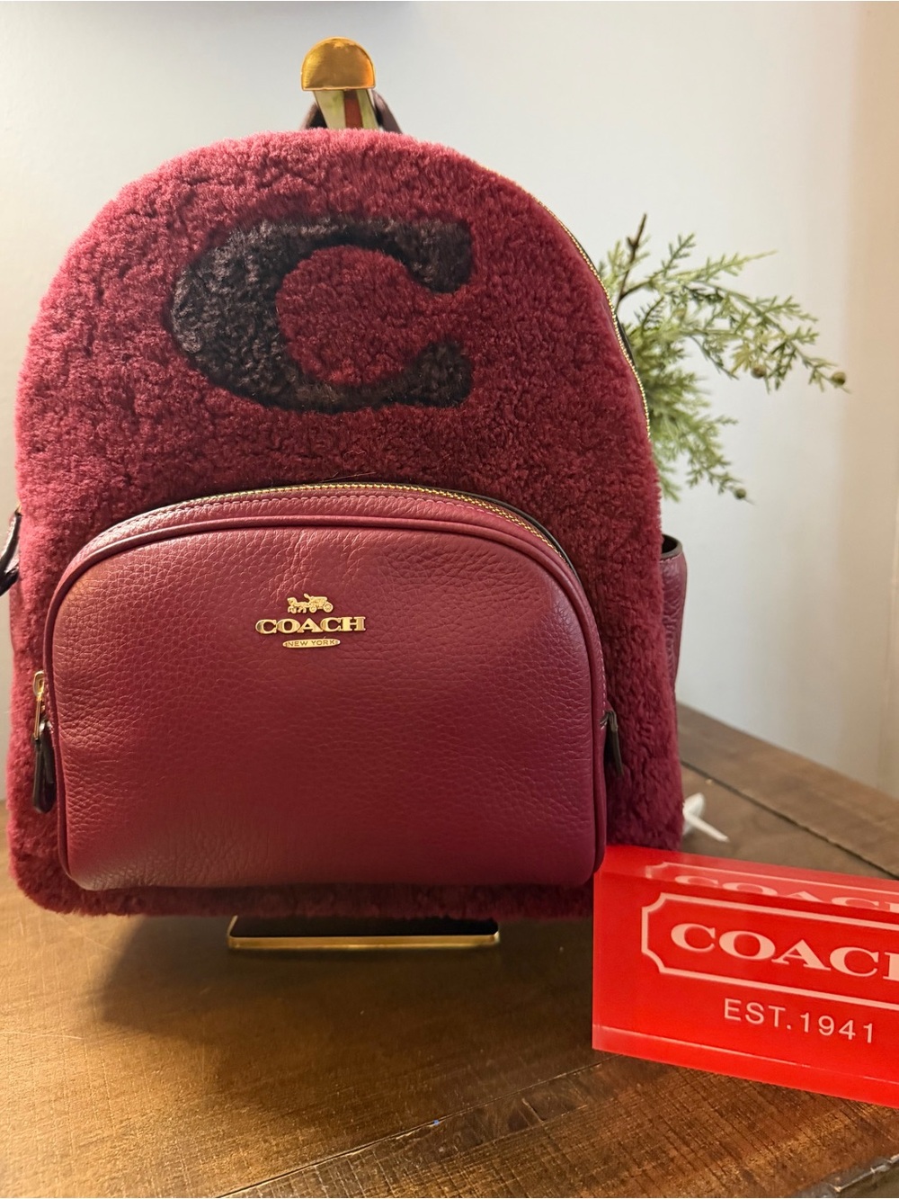 Coach Shearling Court Backpack